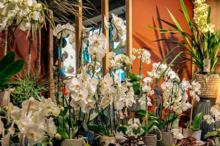 Service de décoration florale sur mesure Argentan