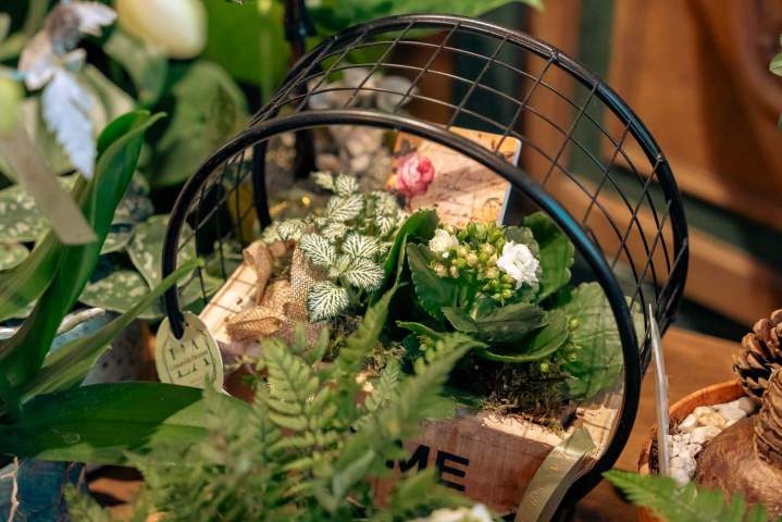 Aménagement floral pour entreprises et particuliers Argentan