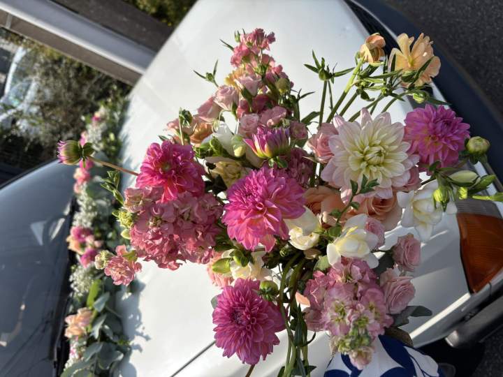 Un bouquet d’émotions livré à l’adresse indiquée.